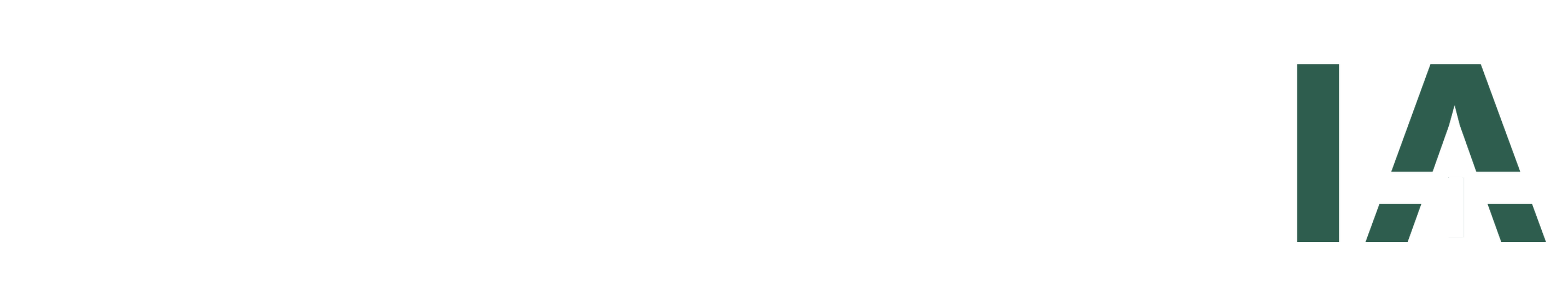 AIRMOVE IA